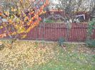 IMG (536)
