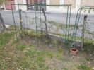 IMG (539)