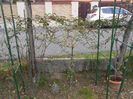 IMG (540)