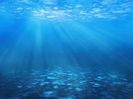 Deep Ocean - Adancul Oceanului ♥️♾