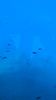 5CF08357-FB2F-400D-8E99-56606A882A21