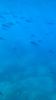 64471F3F-F9CB-400F-B0E3-FD46E18FBD34