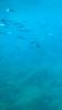5540D570-DC59-4C6A-9684-707B8DF01ECA