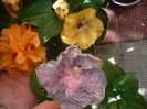 P1450601