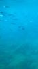 C8A7DA87-45D3-4F76-AFFE-4AD7EC4F143C