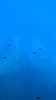 05F2D208-2F02-4603-86F9-0788E6729250