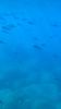 E99B2933-2F7C-4550-8A28-6FD9E524B63E