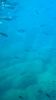 25597E0A-2A58-47C4-93CE-32C01EFB775F