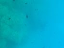 95733ACD-CB86-4D3D-B5E3-17966F2948ED