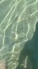 898D6B91-3A85-4832-9366-C3B014BD12E1
