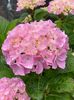 B7F3896D-9CDA-4958-8AE9-0351ADF821B5