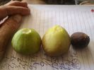 Dotatto,Simian,mov romanesc