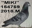 2018.154769.MIKI -++