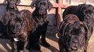 IMG-20190105-WA0006