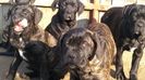 IMG-20190105-WA0008