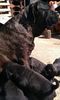 IMG-20190417-WA0003