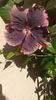 IMG-20200918-WA0001