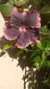 IMG-20200918-WA0003