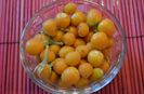 Dwarf tamarillo pur vegan