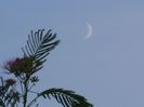 Luna noua in Scorpion