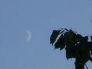 Echinoctiul de toamna - Luna in crestere in Sagetator