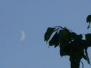 Echinoctiul de toamna - Luna in crestere in Sagetator