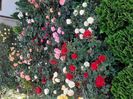 IMG-20200924-WA0043