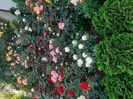 IMG-20200924-WA0042