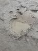 IMG-20200810-WA0007