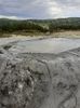 IMG-20200810-WA0005