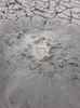 IMG-20200810-WA0003