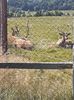 IMG-20200811-WA0033