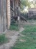 IMG-20200811-WA0029