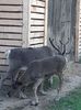 IMG-20200811-WA0026