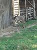 IMG-20200811-WA0021