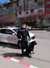 IMG-20200426-WA0009