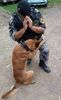 IMG-20200330-WA0002
