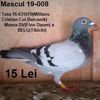 Mascul 19-008....-Teis