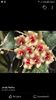 Screenshot_20201010-232533_Facebook