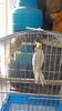 IMG-20200426-WA0000