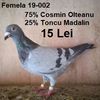 Femela 19-002