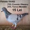 Femela 19-002-Teis