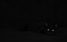 tene08.09.2020_001 (409)