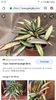 Screenshot_20201021-052607_Chrome