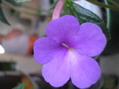 P8140413