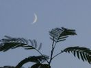 Luna noua in Sagetator