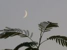 Luna noua in Sagetator