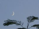 Luna noua in Sagetator