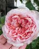 Abraham Darby