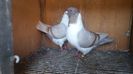 20201031_135056(0)